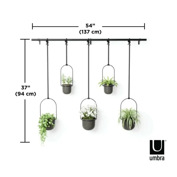 Hängande krukor 5 st UMBRA - TRIFLORA 5 LARGE, svart - produktbild av [MGO] Import King Home från Umbra | Arvande