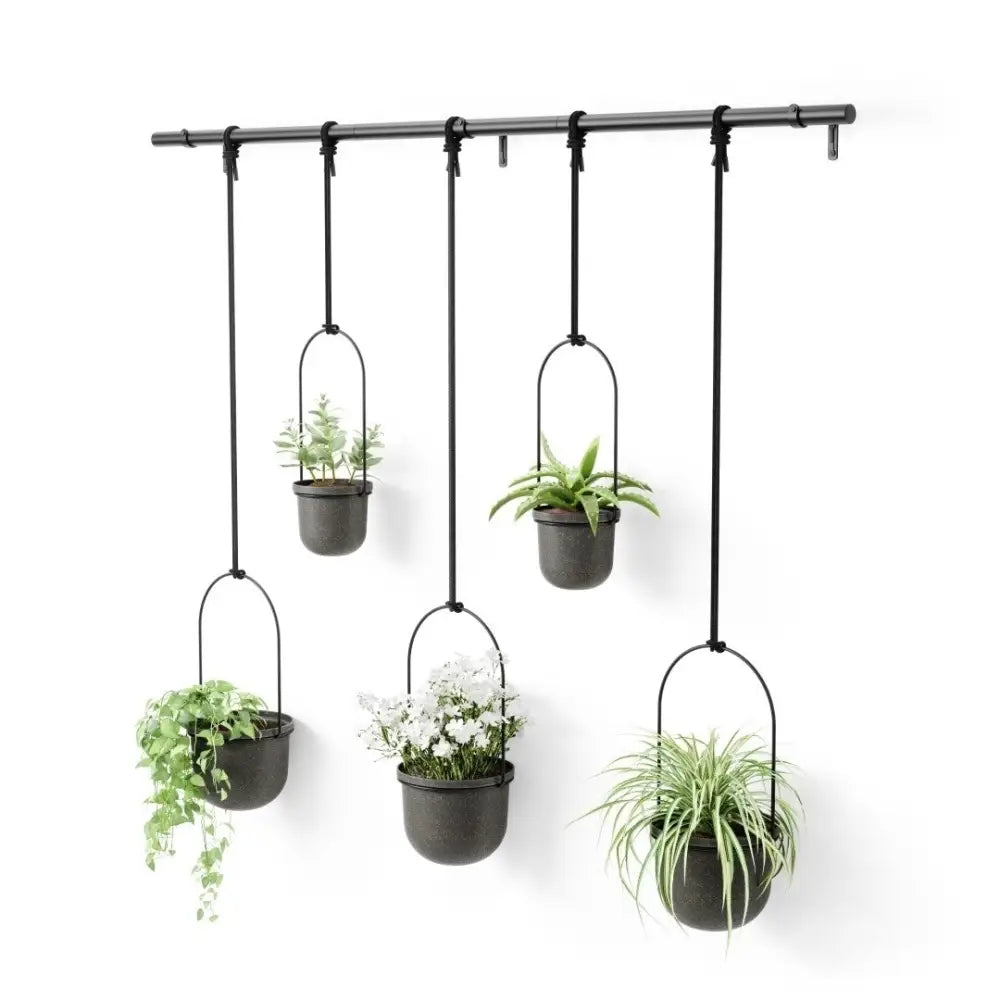 Hängande krukor 5 st UMBRA - TRIFLORA 5 LARGE, svart - produktbild av [MGO] Import King Home från Umbra | Arvande