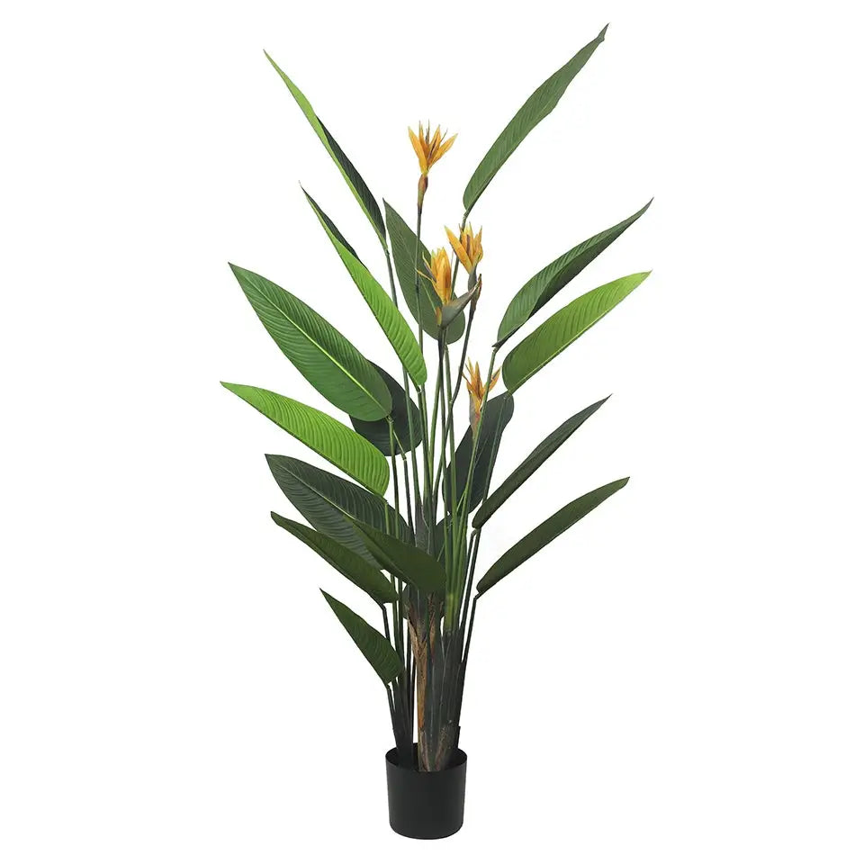 KARE dekorativ växt PARADISE FLOWERS 190 cm - produktbild av Nyheter KINGHOME ej översatt från Kare Design | Arvande