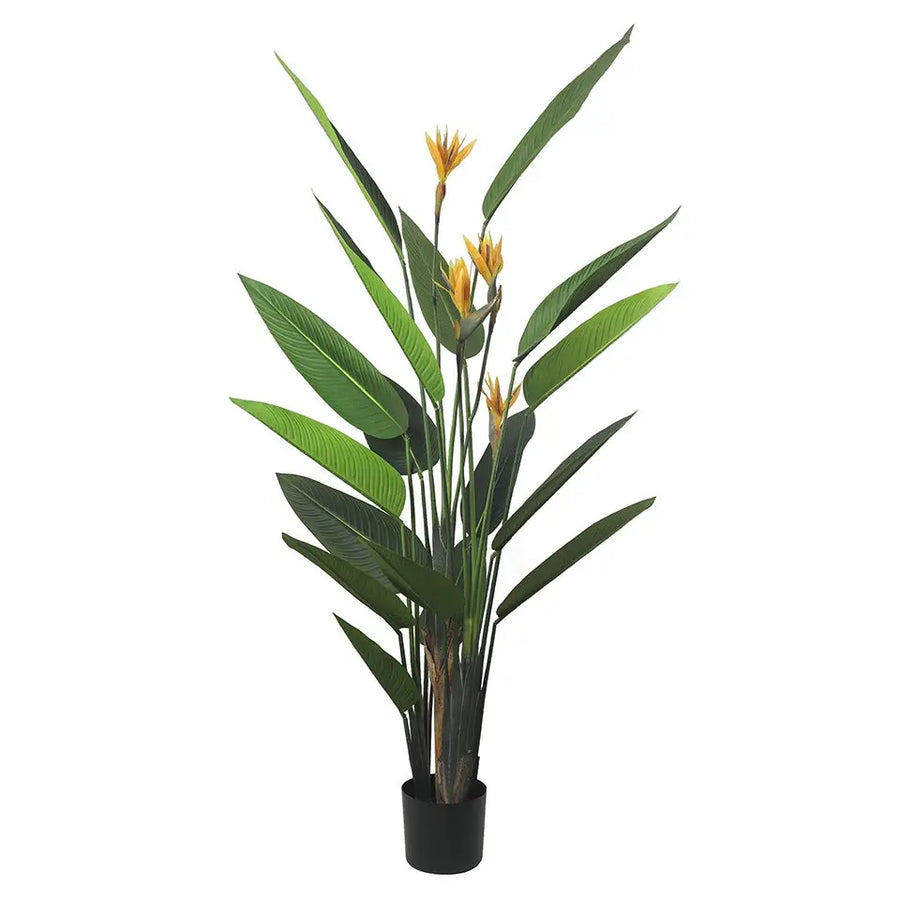 KARE dekorativ växt PARADISE FLOWERS 190 cm - produktbild av Nyheter KINGHOME ej översatt från Kare Design | Arvande