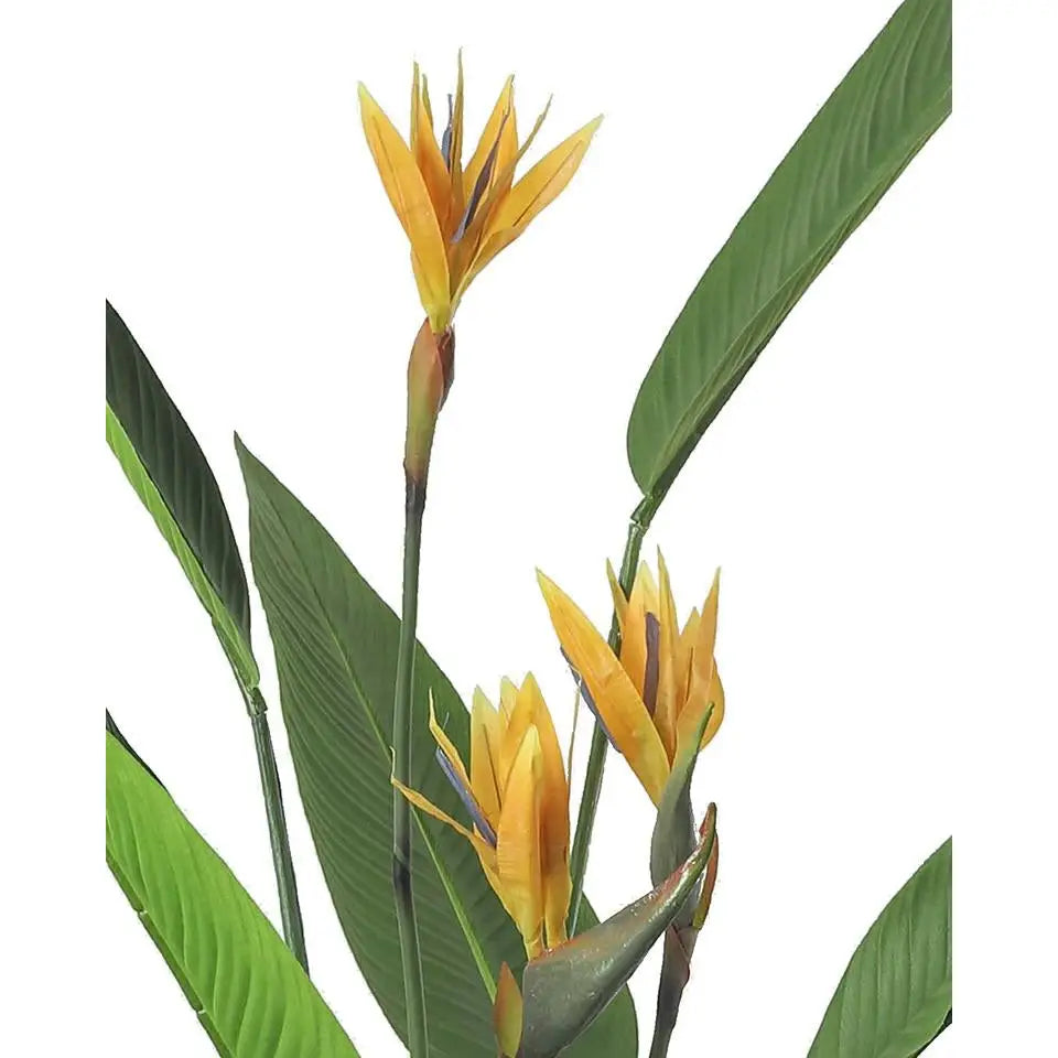 KARE dekorativ växt PARADISE FLOWERS 190 cm - produktbild av Nyheter KINGHOME ej översatt från Kare Design | Arvande