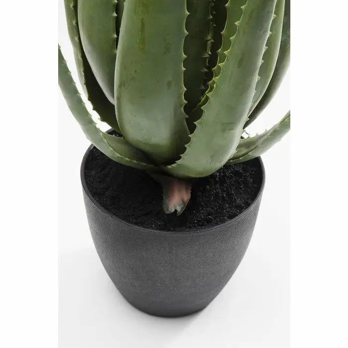 Konstväxt KARE DESIGN - ALOE, 69 cm - produktbild av Dekoration från Kare Design | Arvande