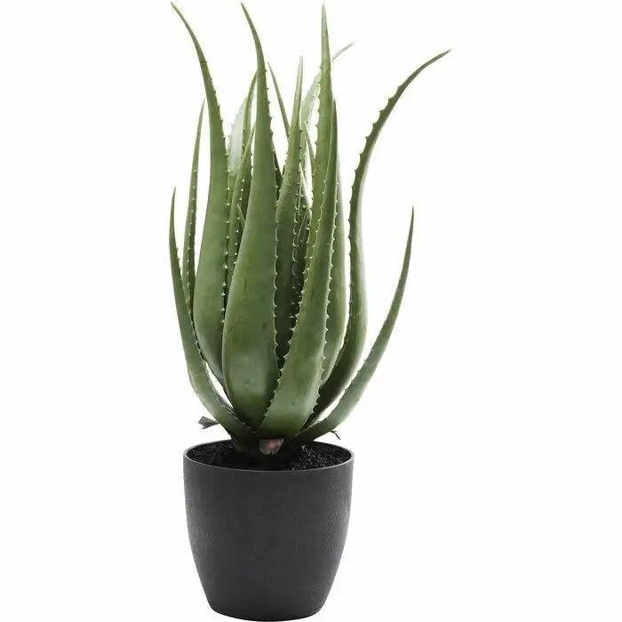Konstväxt KARE DESIGN - ALOE, 69 cm - produktbild av Dekoration från Kare Design | Arvande