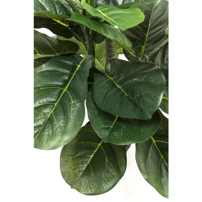 Konstväxt KARE DESIGN - FIDDLE LEAF, 120 cm - produktbild av Dekoration från Kare Design | Arvande