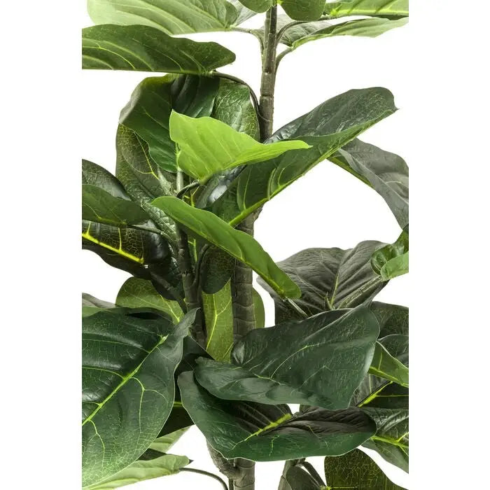 Konstväxt KARE DESIGN - FIDDLE LEAF, 120 cm - produktbild av Dekoration från Kare Design | Arvande