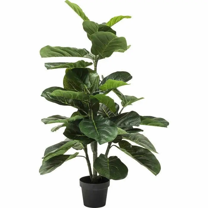 Konstväxt KARE DESIGN - FIDDLE LEAF, 120 cm - produktbild av Dekoration från Kare Design | Arvande