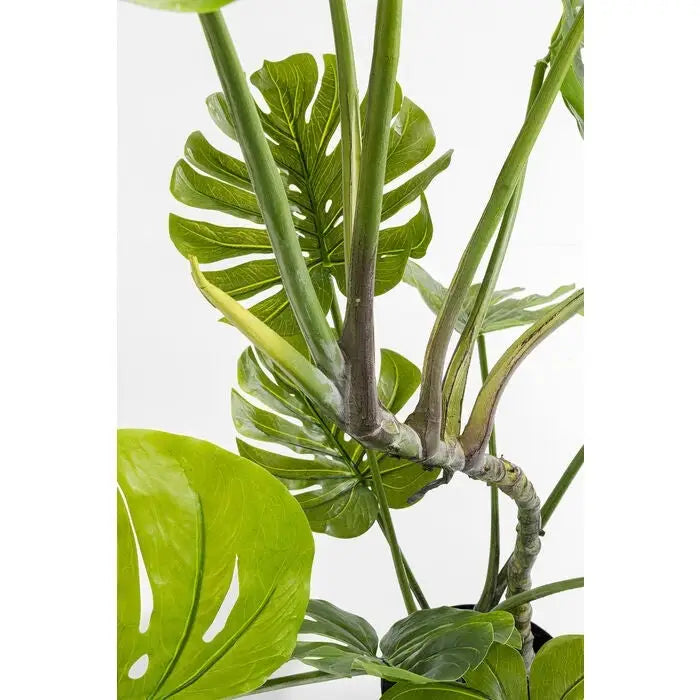 Konstväxt KARE DESIGN - MONSTERA, 110 cm - produktbild av Dekoration från Kare Design | Arvande