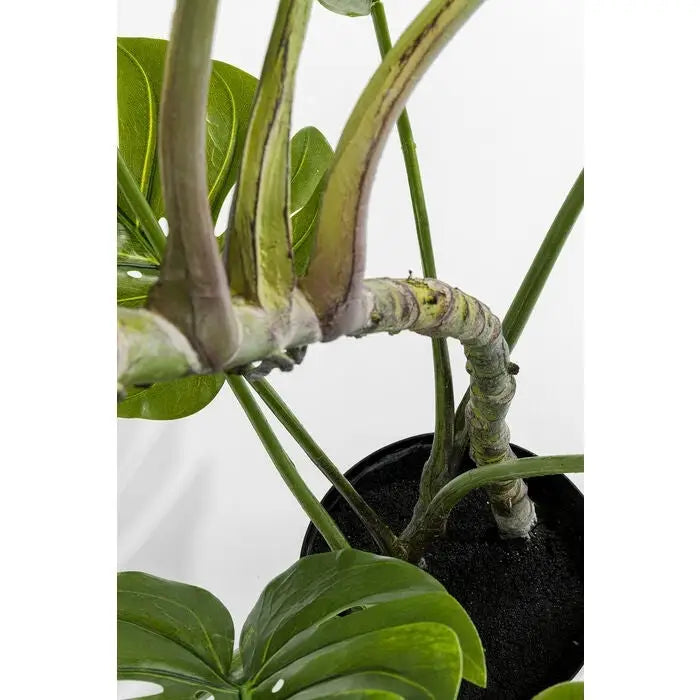 Konstväxt KARE DESIGN - MONSTERA, 110 cm - produktbild av Dekoration från Kare Design | Arvande