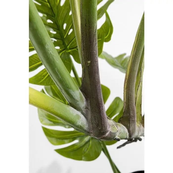 Konstväxt KARE DESIGN - MONSTERA, 110 cm - produktbild av Dekoration från Kare Design | Arvande
