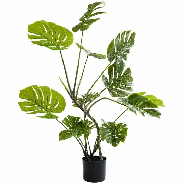 Konstväxt KARE DESIGN - MONSTERA, 110 cm - produktbild av Dekoration från Kare Design | Arvande