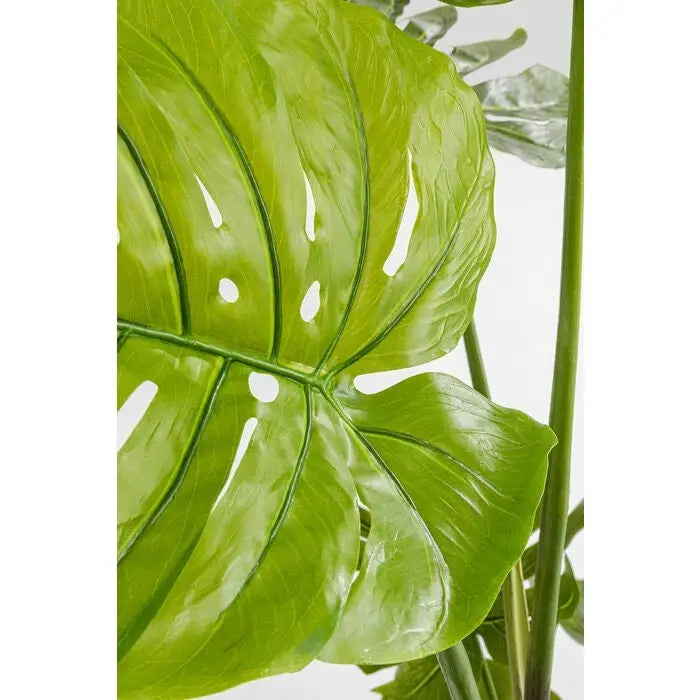 Konstväxt KARE DESIGN - MONSTERA, 110 cm - produktbild av Dekoration från Kare Design | Arvande