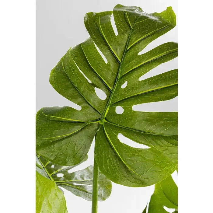 Konstväxt KARE DESIGN - MONSTERA, 110 cm - produktbild av Dekoration från Kare Design | Arvande