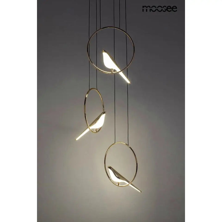 Taklampa MOOSEE - BIRD DISC, guld - produktbild av Taklampor från Moosee | Arvande