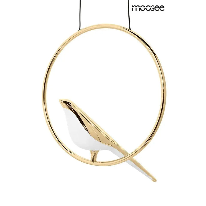 Taklampa MOOSEE - BIRD DISC, guld - produktbild av Taklampor från Moosee | Arvande
