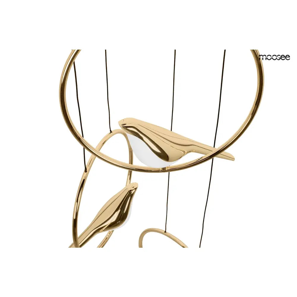 Taklampa MOOSEE - BIRD DISC, guld - produktbild av Taklampor från Moosee | Arvande