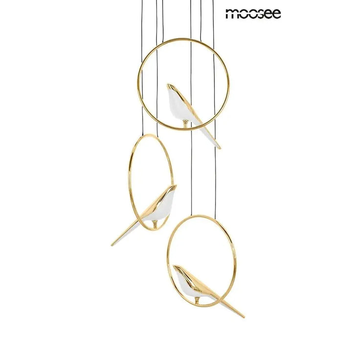 Taklampa MOOSEE - BIRD DISC, guld - produktbild av Taklampor från Moosee | Arvande