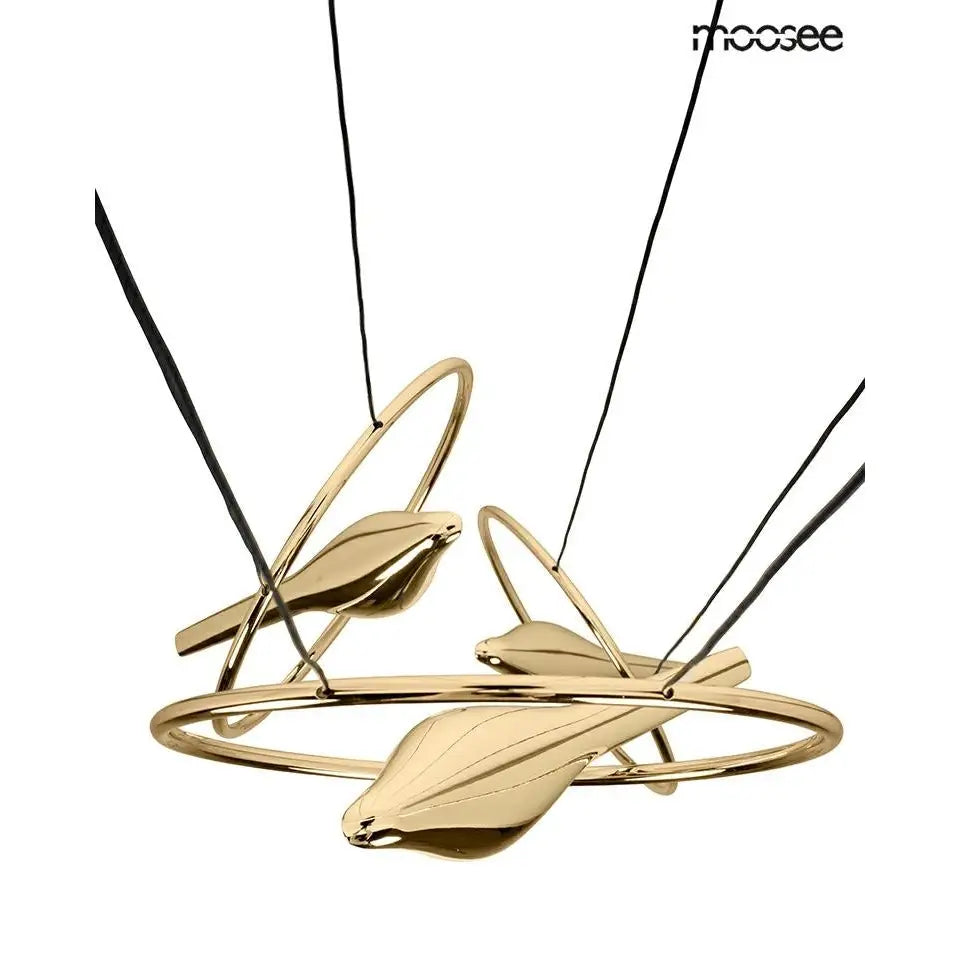 Taklampa MOOSEE - BIRD DISC, guld - produktbild av Taklampor från Moosee | Arvande
