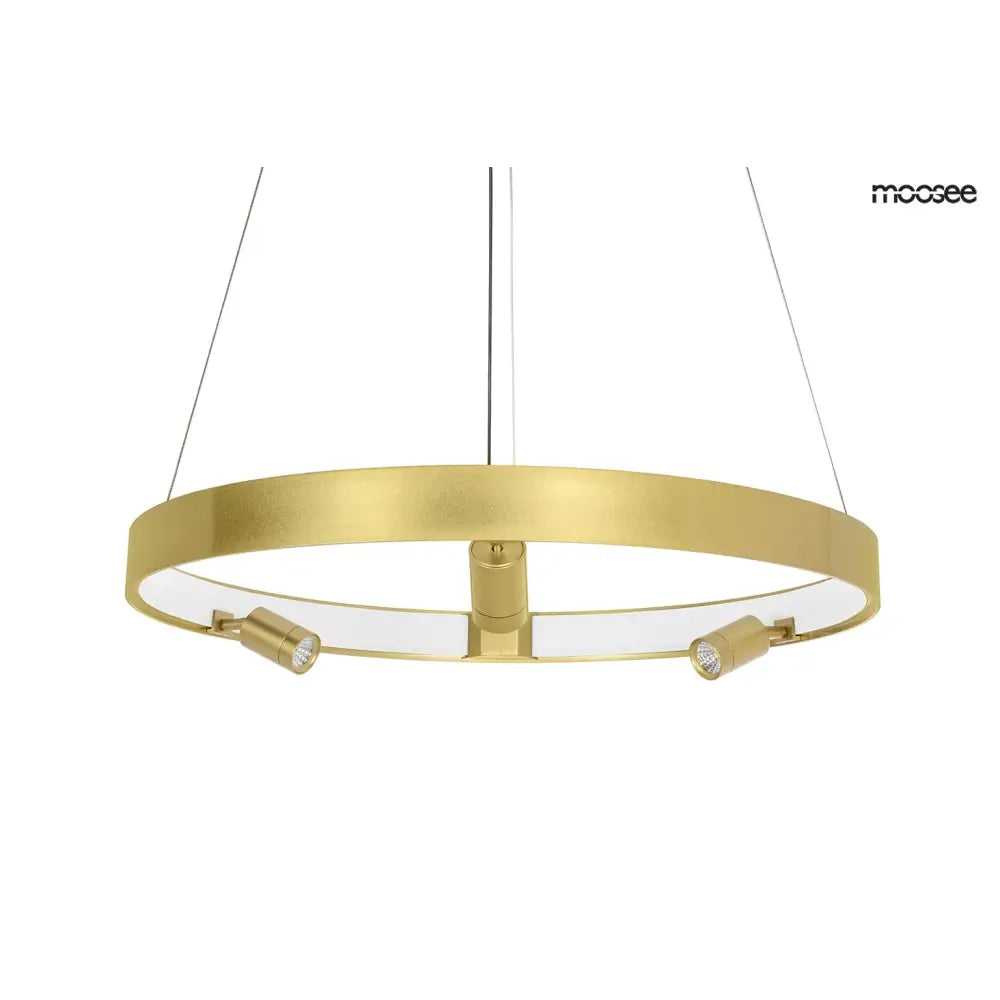 Taklampa MOOSEE - CIRCLE SPOT 60 GOLD, guld - produktbild av Taklampor från Moosee | Arvande