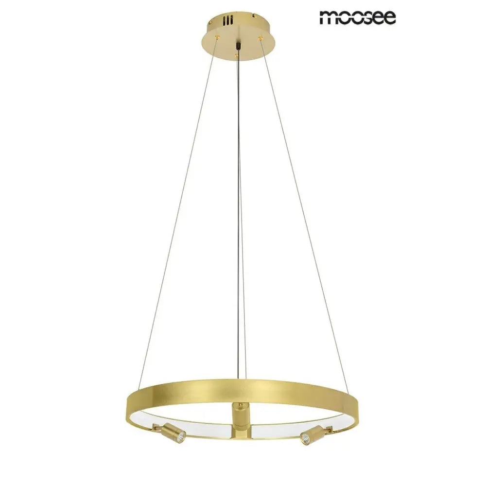 Taklampa MOOSEE - CIRCLE SPOT 60 GOLD, guld - produktbild av Taklampor från Moosee | Arvande