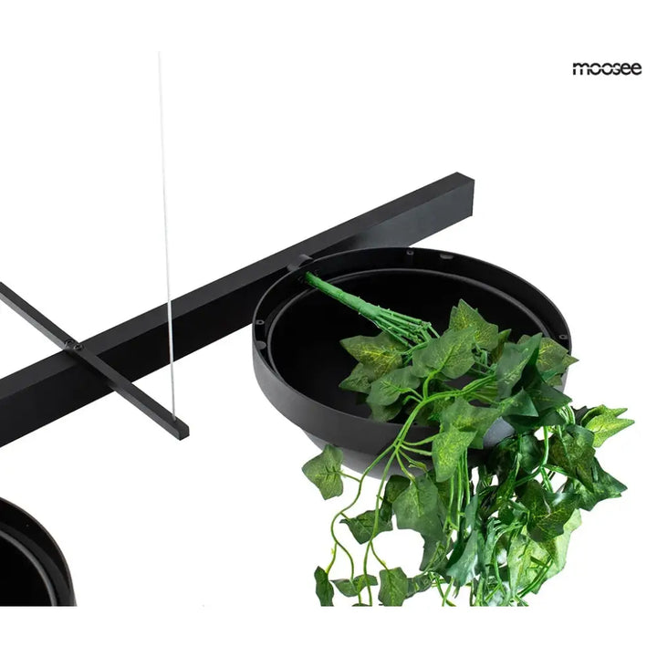Taklampa MOOSEE - PLANT LINE, svart - produktbild av Taklampor från Moosee | Arvande