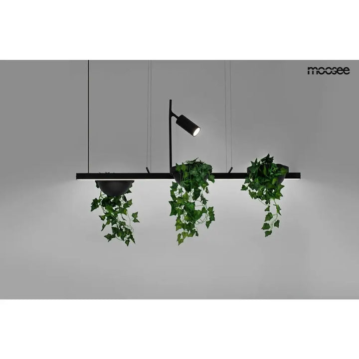 Taklampa MOOSEE - PLANT LINE, svart - produktbild av Taklampor från Moosee | Arvande