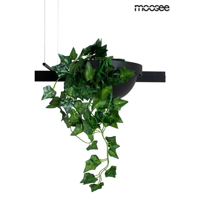 Taklampa MOOSEE - PLANT LINE, svart - produktbild av Taklampor från Moosee | Arvande