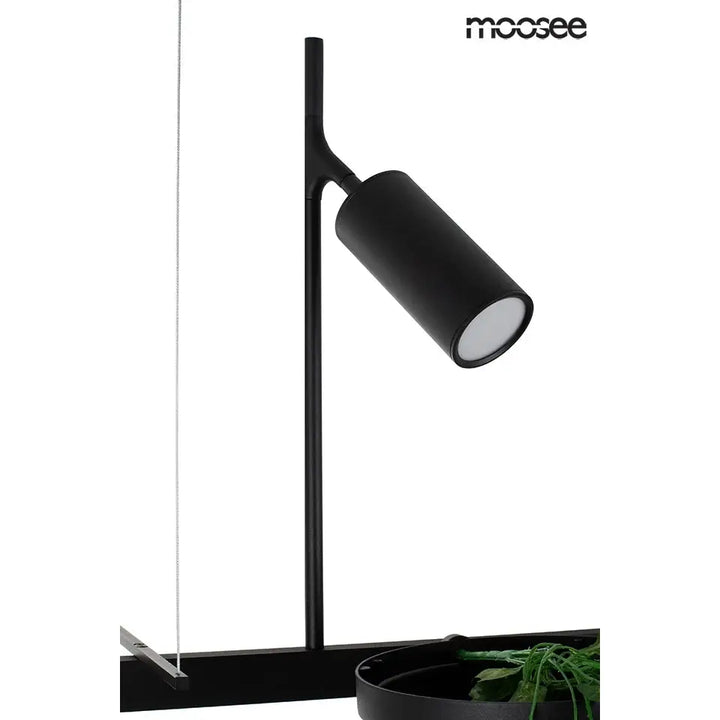 Taklampa MOOSEE - PLANT LINE, svart - produktbild av Taklampor från Moosee | Arvande