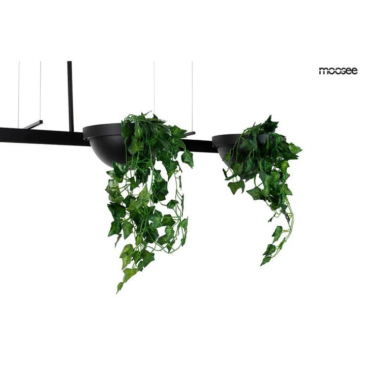 Taklampa MOOSEE - PLANT LINE, svart - produktbild av Taklampor från Moosee | Arvande
