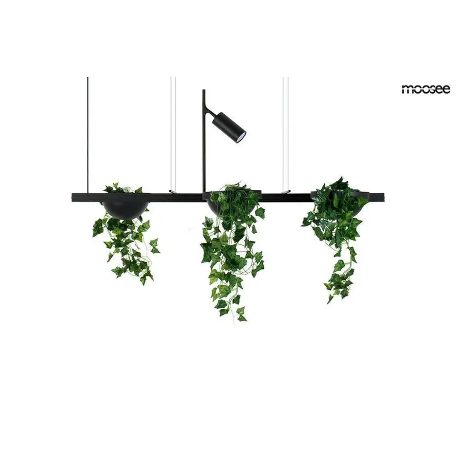Taklampa MOOSEE - PLANT LINE, svart - produktbild av Taklampor från Moosee | Arvande