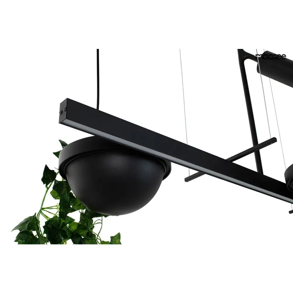 Taklampa MOOSEE - PLANT LINE, svart - produktbild av Taklampor från Moosee | Arvande