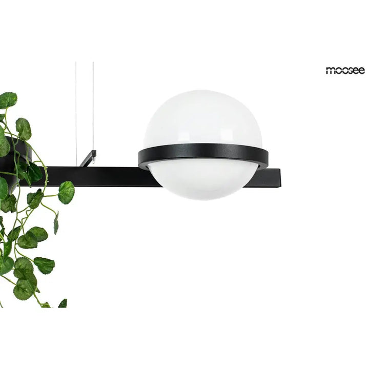 Taklampa MOOSEE - PLANT, svart - produktbild av Nyheter från Moosee | Arvande