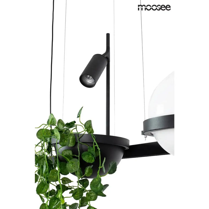 Taklampa MOOSEE - PLANT, svart - produktbild av Nyheter från Moosee | Arvande