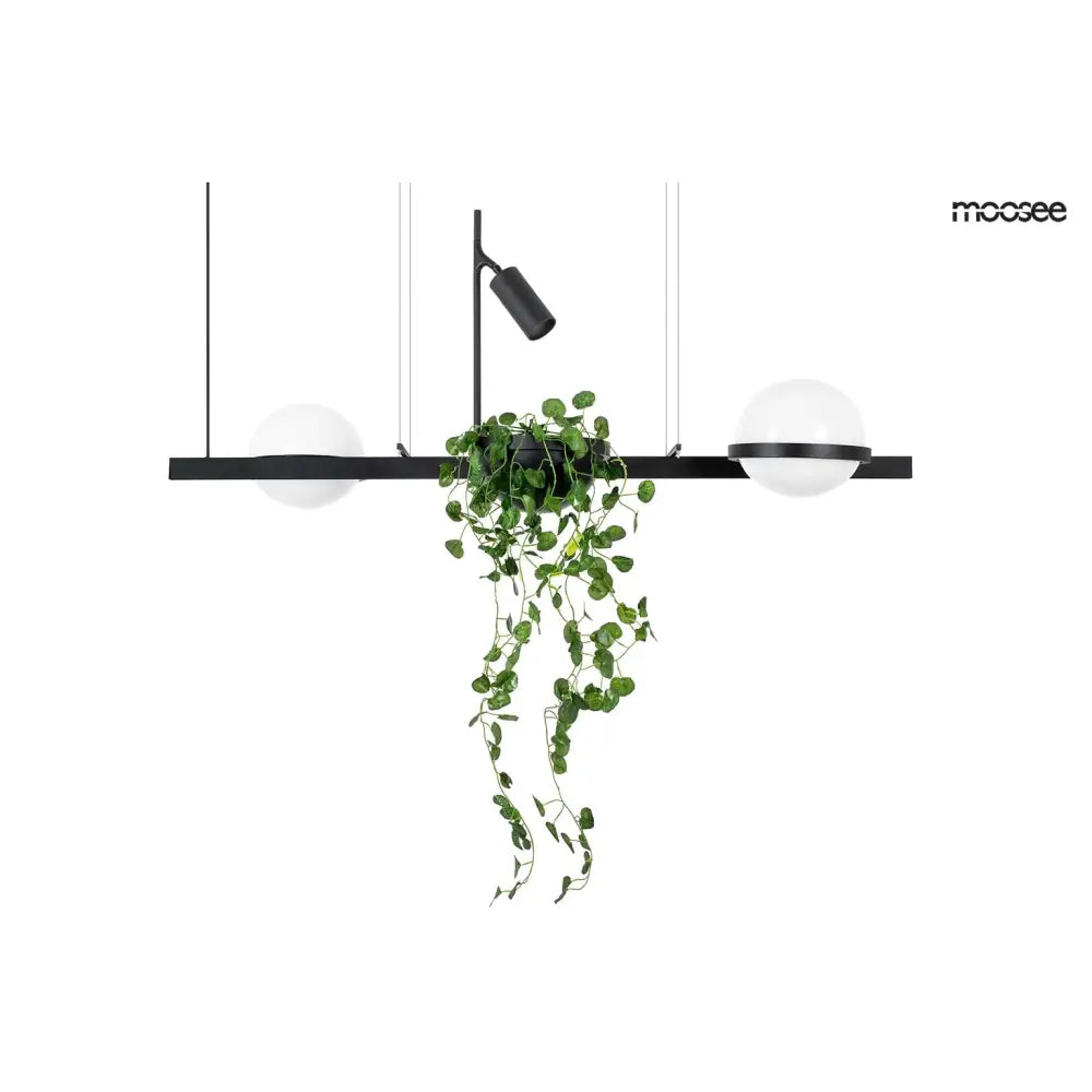 Taklampa MOOSEE - PLANT, svart - produktbild av Nyheter från Moosee | Arvande