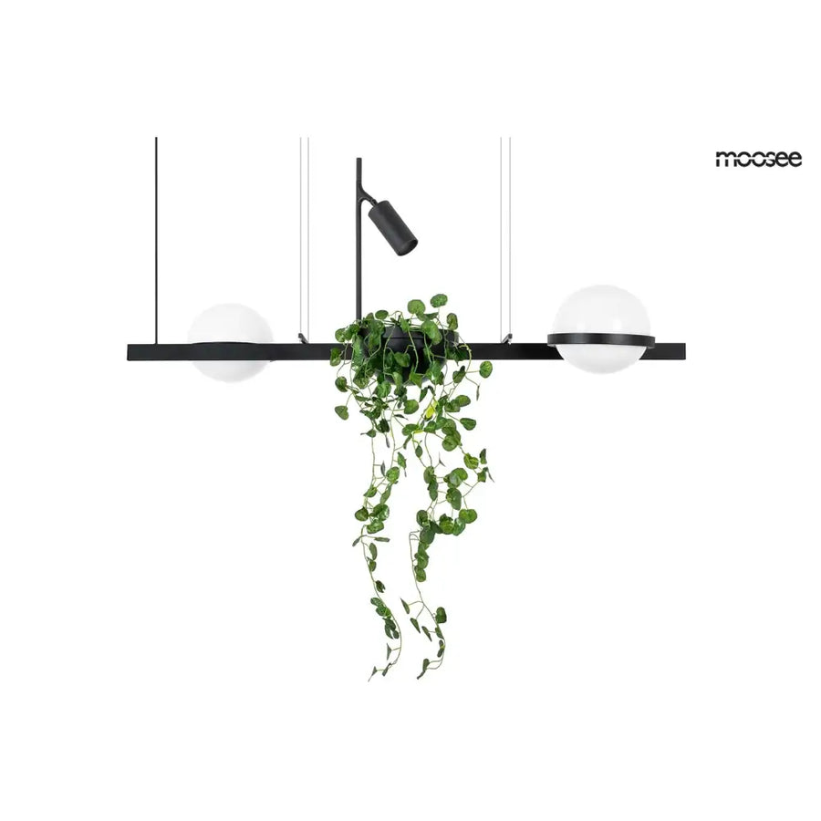 Taklampa MOOSEE - PLANT, svart - produktbild av Nyheter från Moosee | Arvande