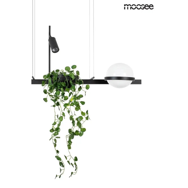 Taklampa MOOSEE - PLANT, svart - produktbild av Nyheter från Moosee | Arvande