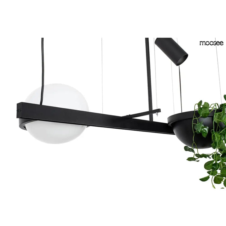 Taklampa MOOSEE - PLANT, svart - produktbild av Nyheter från Moosee | Arvande