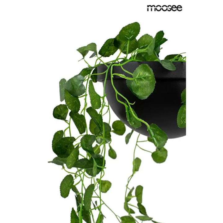 Taklampa MOOSEE - PLANT, svart - produktbild av Nyheter från Moosee | Arvande