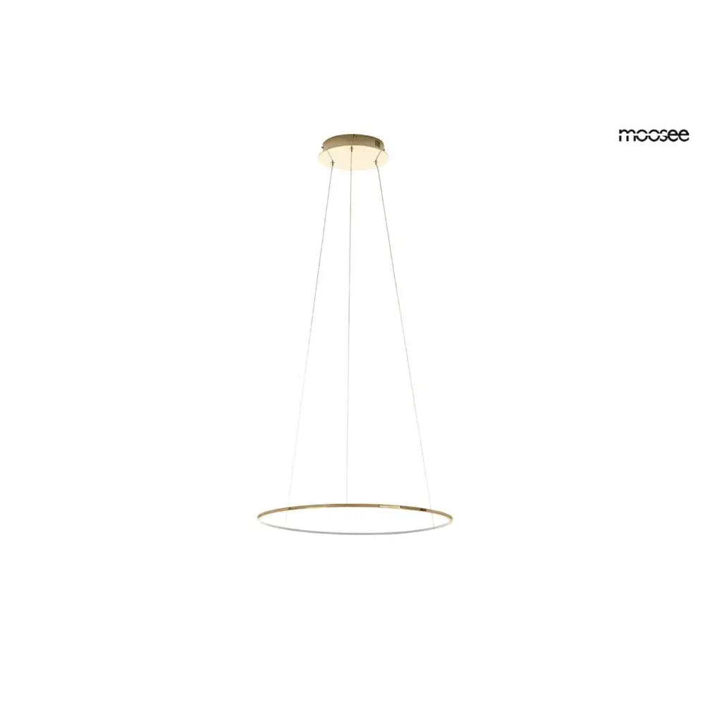 Taklampa MOOSEE - RING SLIM 40, guld – produktbild av Taklampor från Moosee | Arvande