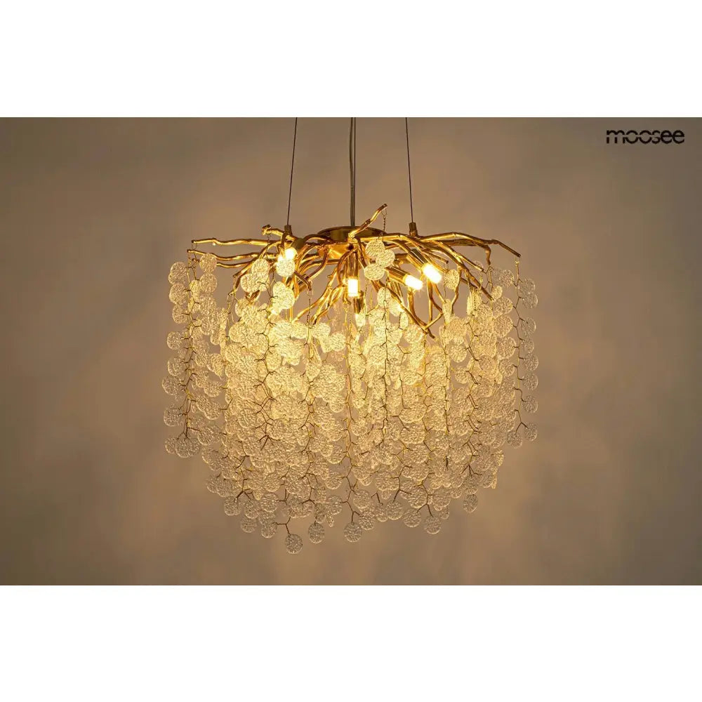 Taklampa MOOSEE - RIVIERA 60, guld/transparent - produktbild av Taklampor från Moosee | Arvande