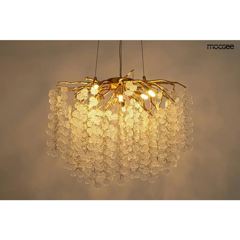 Taklampa MOOSEE - RIVIERA 80, guld/transparent - produktbild av Taklampor från Moosee | Arvande