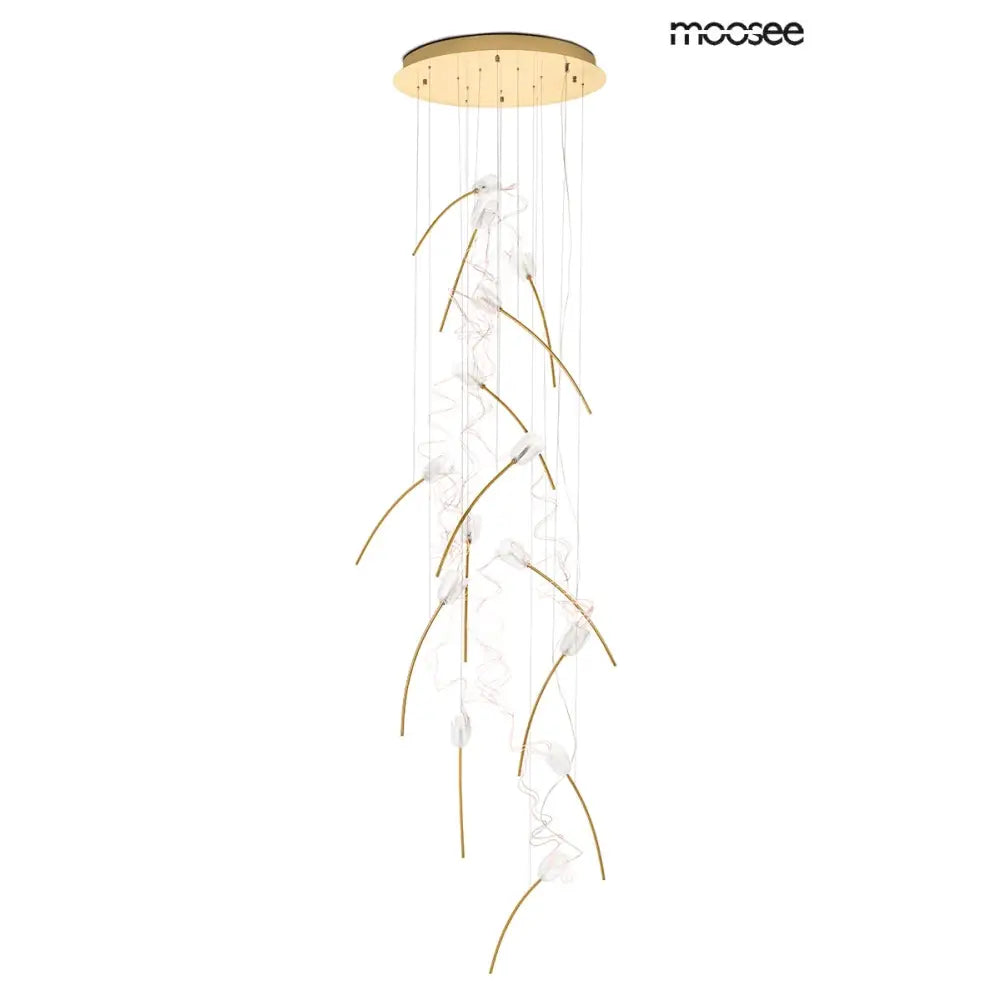 Taklampa MOOSEE - TULIPPE 14 DISC, guld – produktbild av Taklampor från Moosee | Arvande