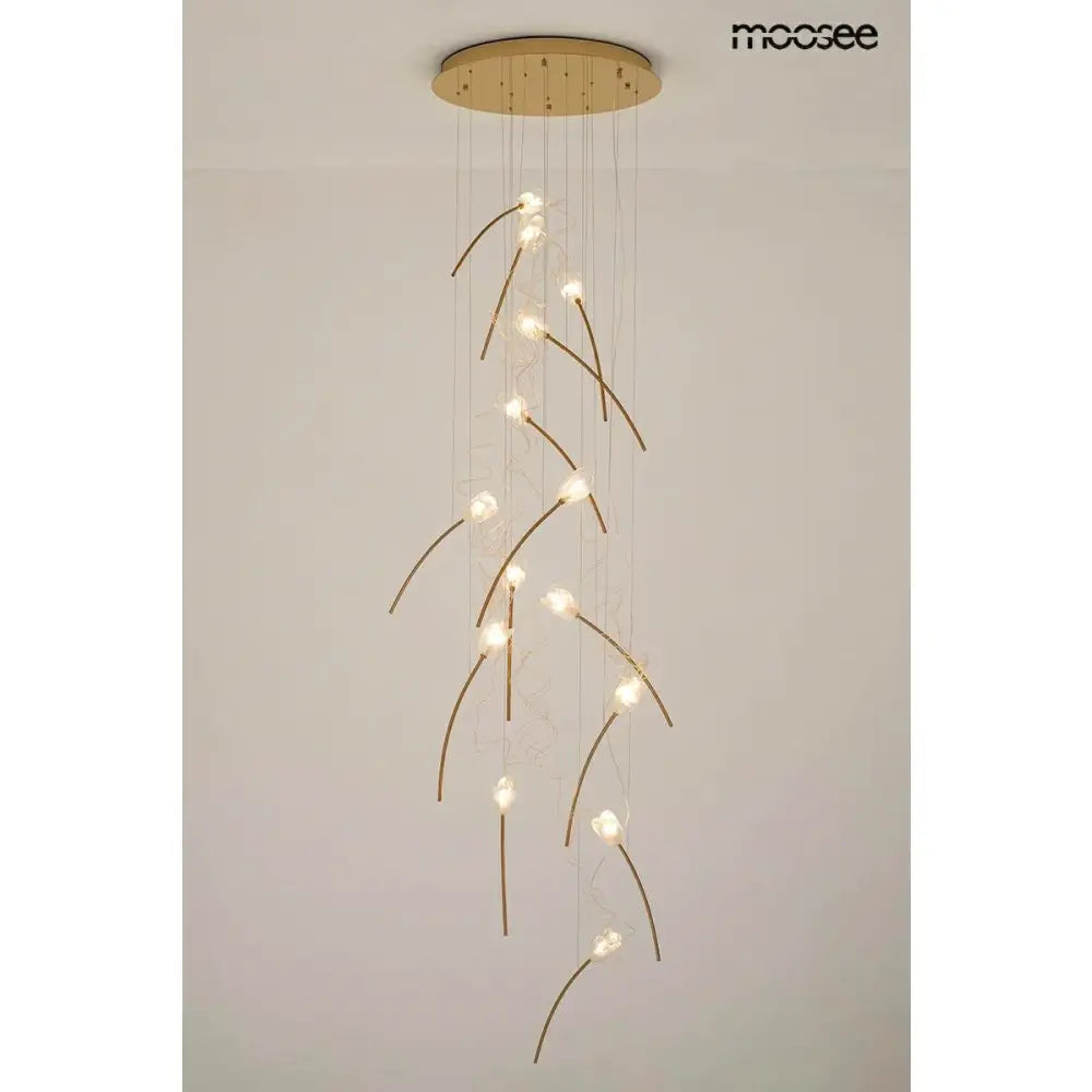 Taklampa MOOSEE - TULIPPE 14 DISC, guld – produktbild av Taklampor från Moosee | Arvande