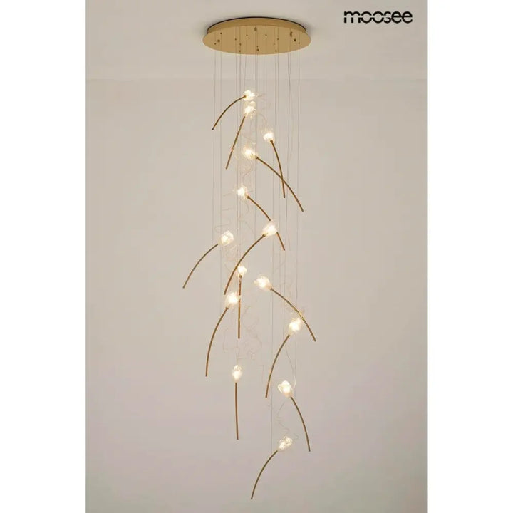 Taklampa MOOSEE - TULIPPE 14 DISC, guld – produktbild av Taklampor från Moosee | Arvande