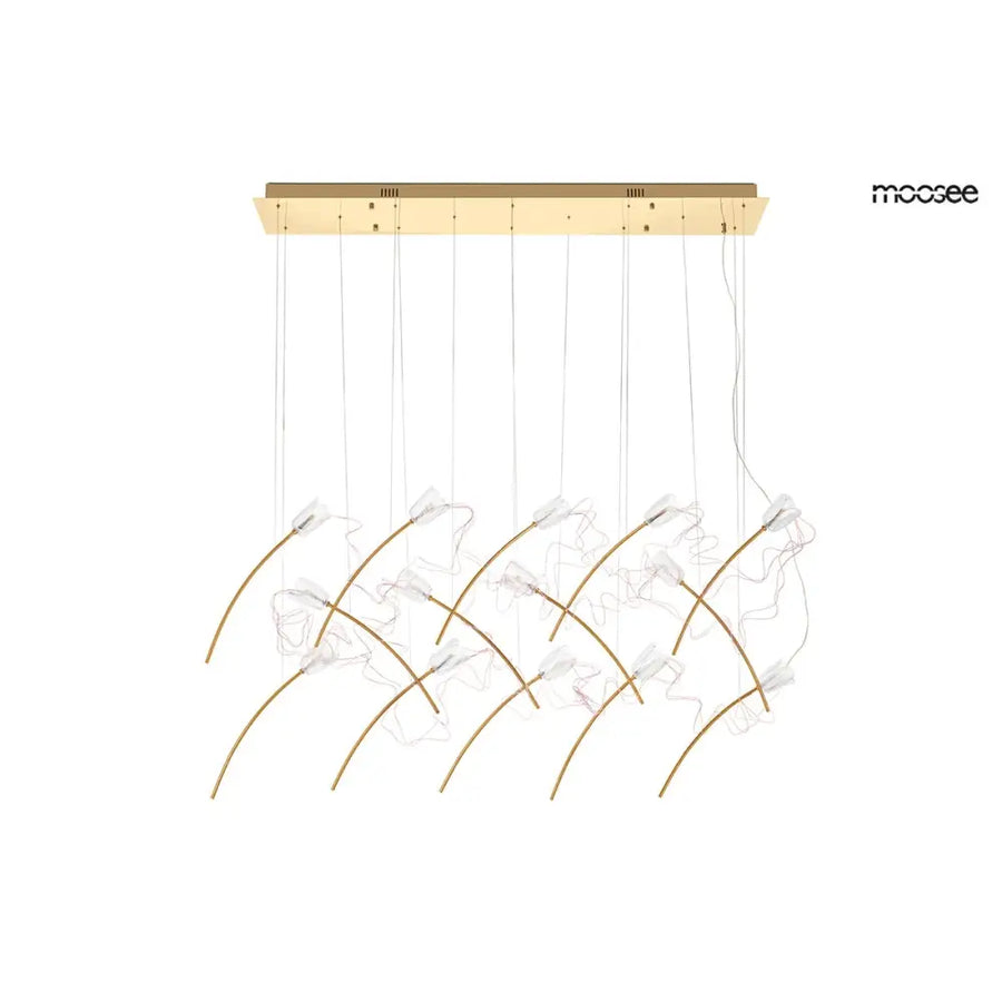 Taklampa MOOSEE - TULIPPE 14 LINE, guld - produktbild av Taklampor från Moosee | Arvande