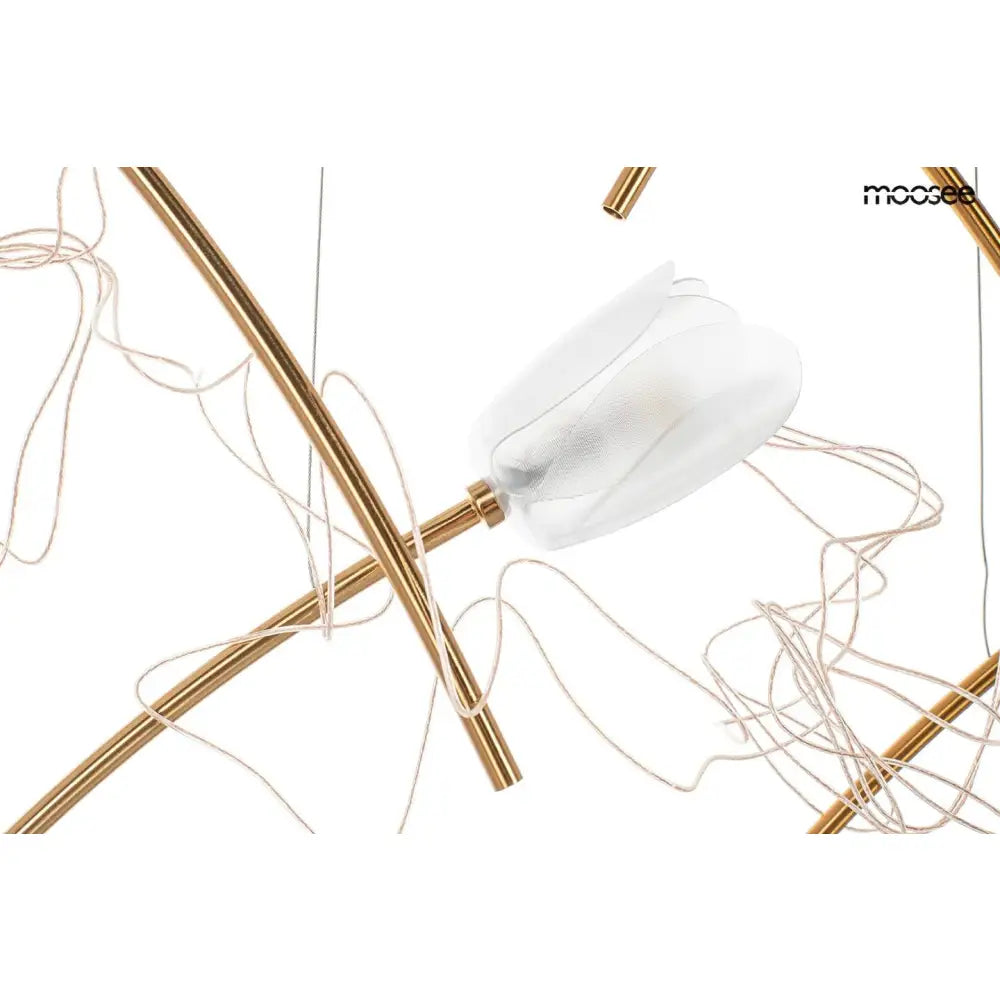 Taklampa MOOSEE - TULIPPE 7 DISC, guld – produktbild av Taklampor från Moosee | Arvande