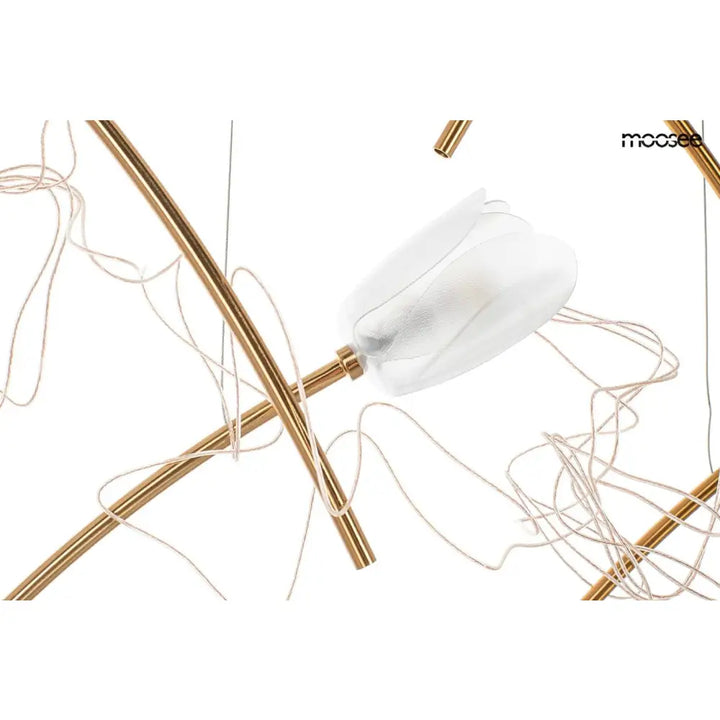 Taklampa MOOSEE - TULIPPE 7 DISC, guld – produktbild av Taklampor från Moosee | Arvande