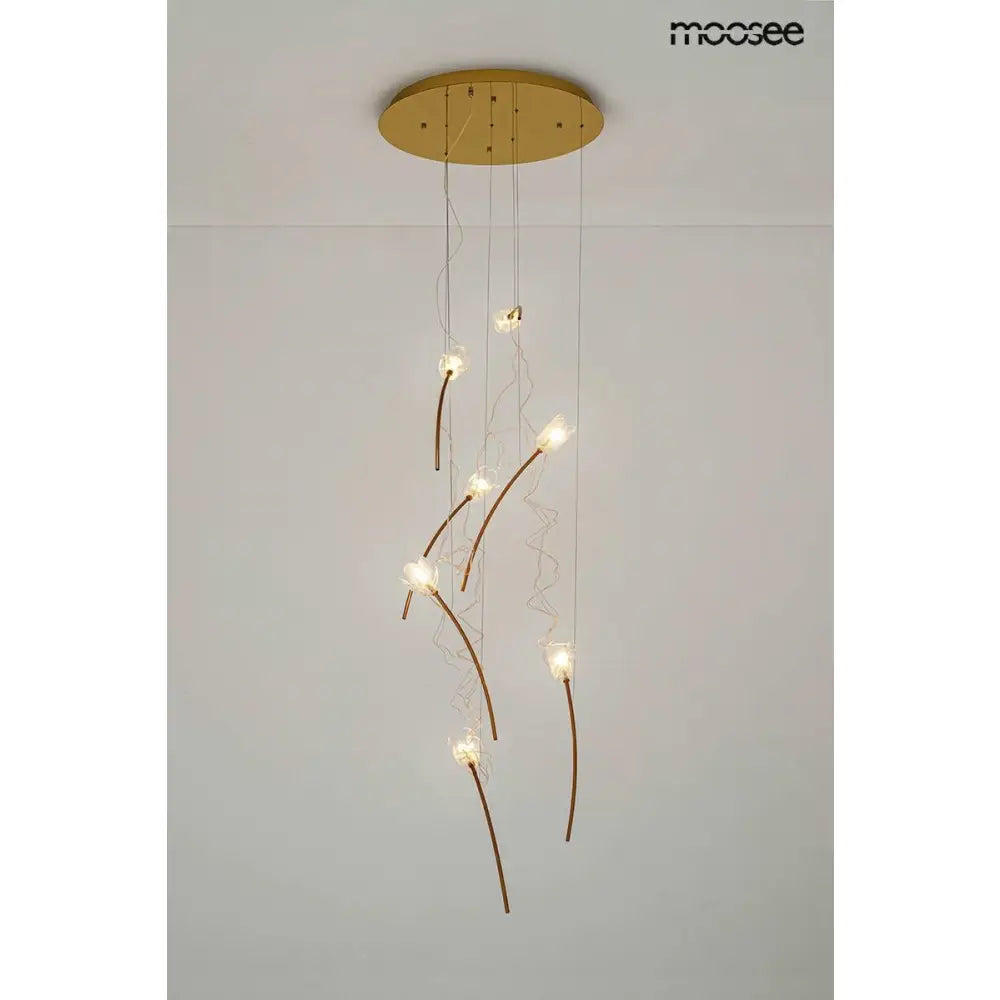 Taklampa MOOSEE - TULIPPE 7 DISC, guld – produktbild av Taklampor från Moosee | Arvande