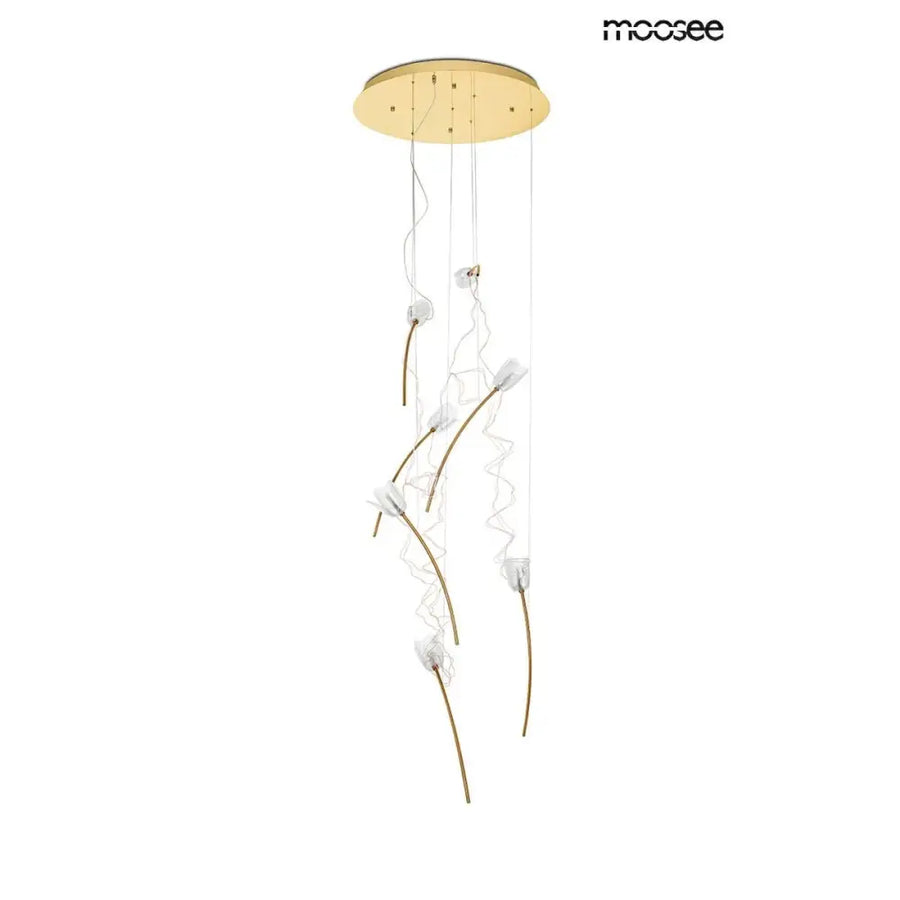 Taklampa MOOSEE - TULIPPE 7 DISC, guld – produktbild av Taklampor från Moosee | Arvande