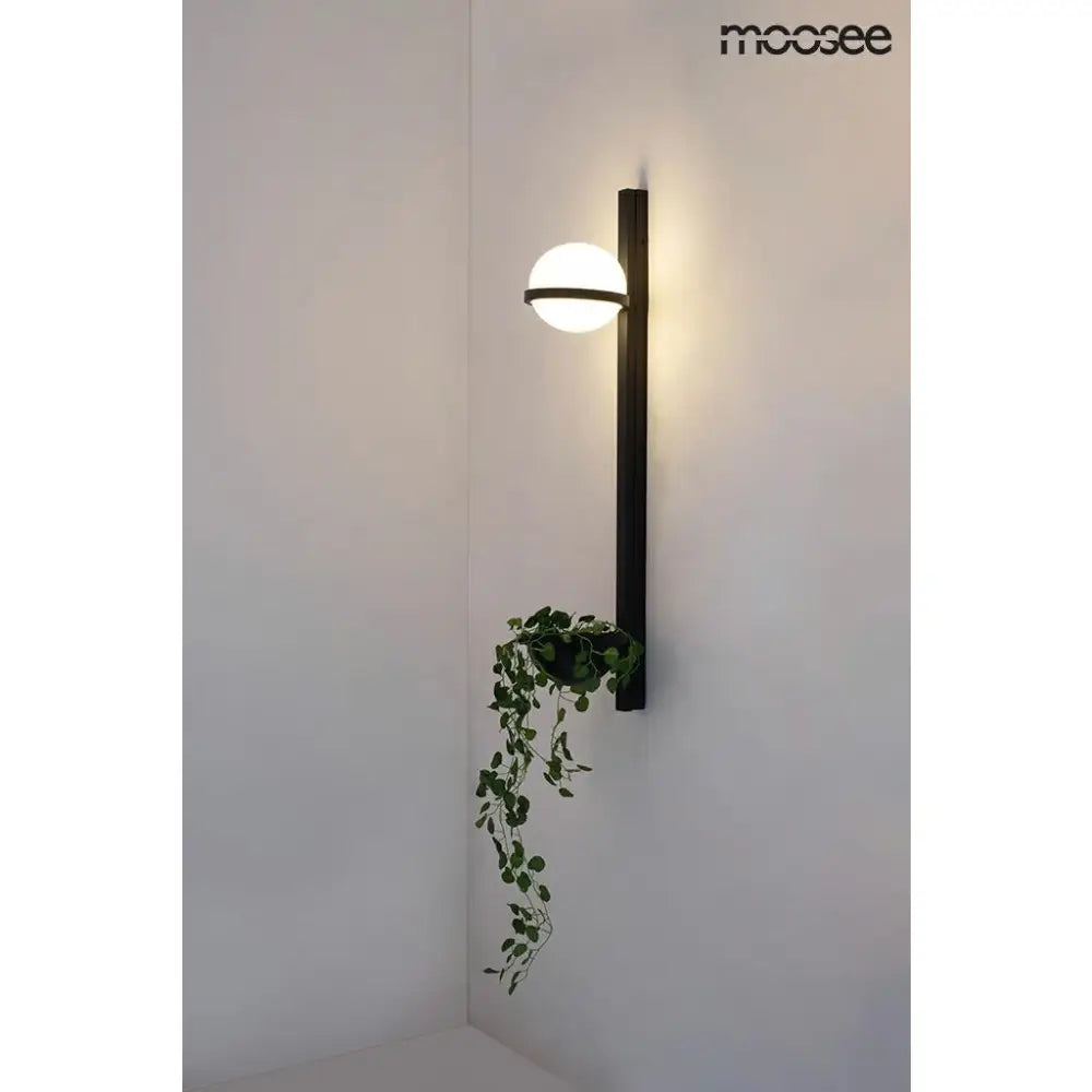 Vägglampa MOOSEE - PLANT WALL, svart - produktbild av Vägglampor från Moosee | Arvande