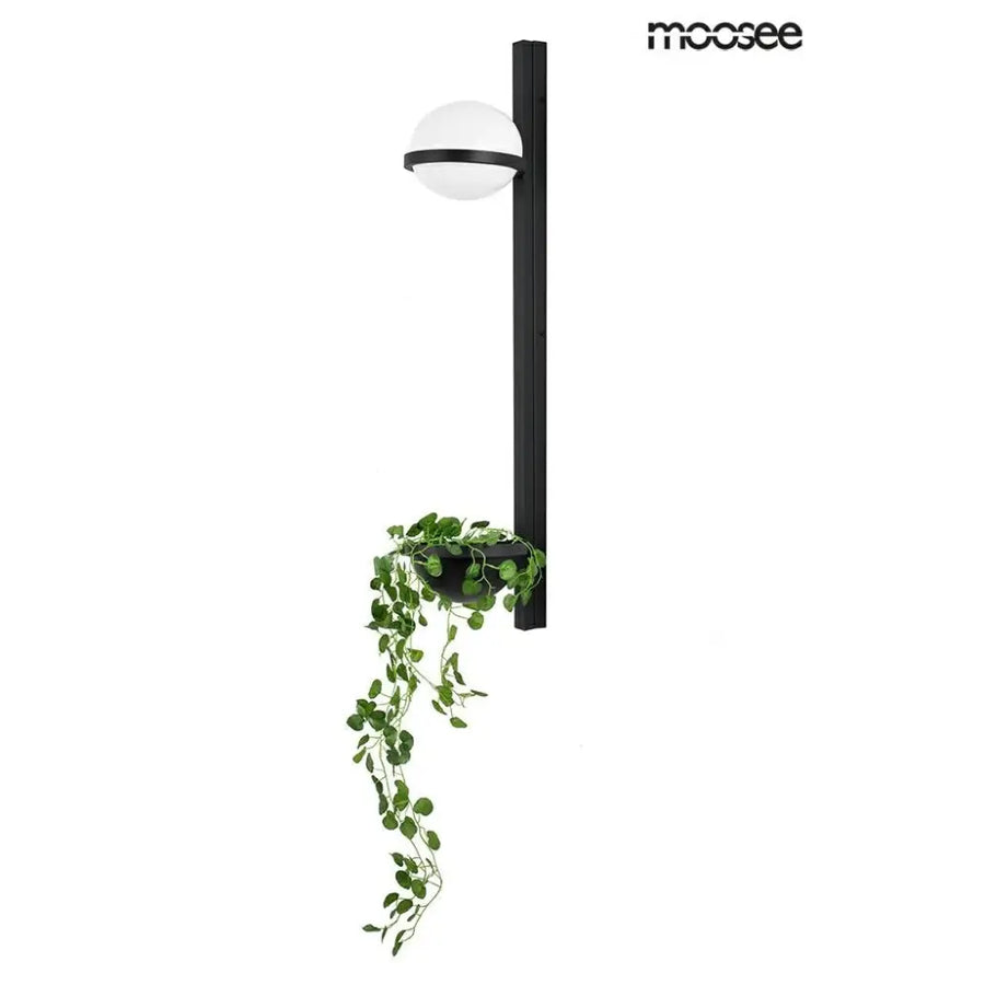 Vägglampa MOOSEE - PLANT WALL, svart - produktbild av Vägglampor från Moosee | Arvande